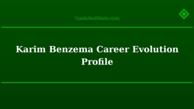 Karim Benzema Career Evolution Profile